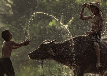 Ljuddämpande tavla - Splashes of Joy