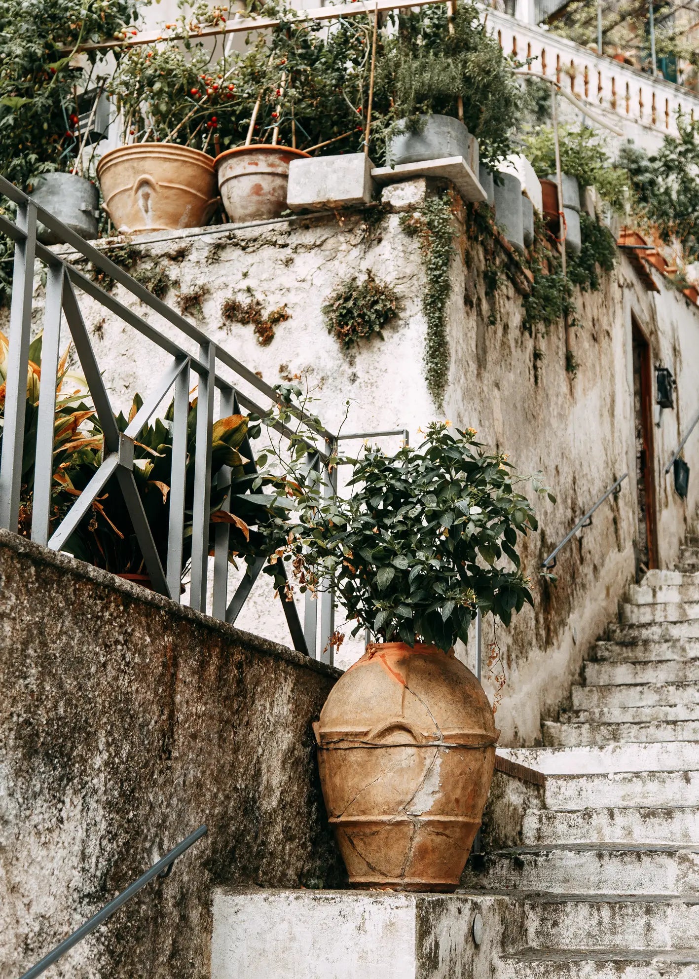 Canvastavla - Mediterranean Terrace