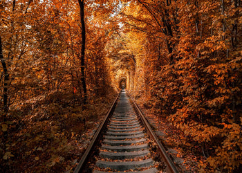 Ljuddämpande tavla - Tunnel of Autumn