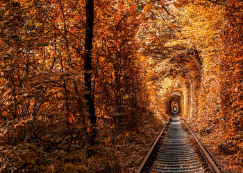 Ljuddämpande tavla - Tunnel of Autumn