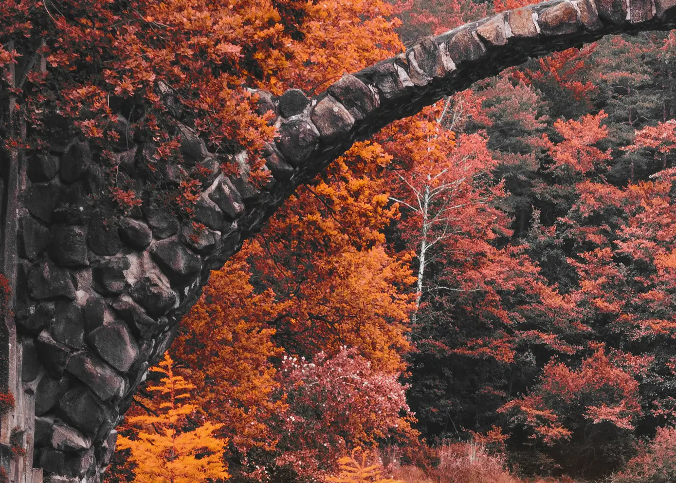 Ljuddämpande tavla - Autumn’s Gateway