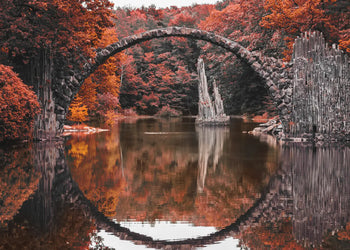 Ljuddämpande tavla - Autumn’s Gateway