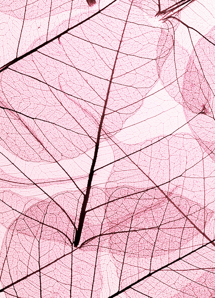 Canvastavla - Leafs (100x150)