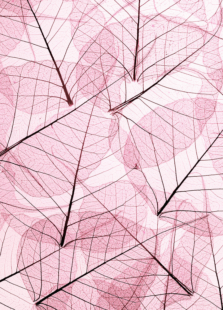 Canvastavla - Leafs (100x150)