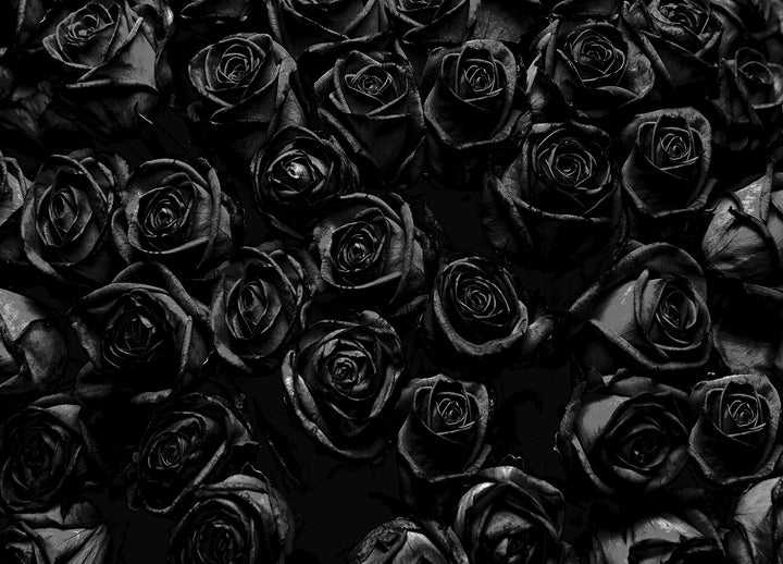 Canvastavla - Roses (70x100)