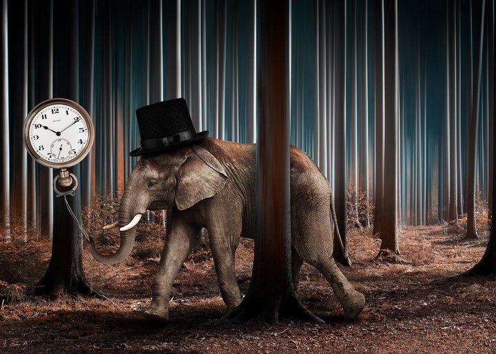Canvastavla - Elephant time