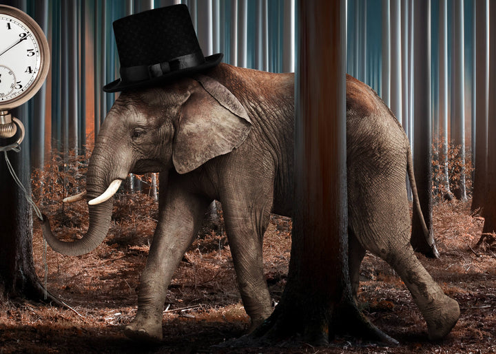Canvastavla - Elephant time