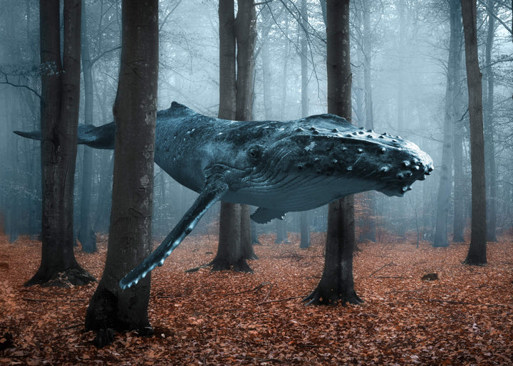 Canvastavla - Blue Whale