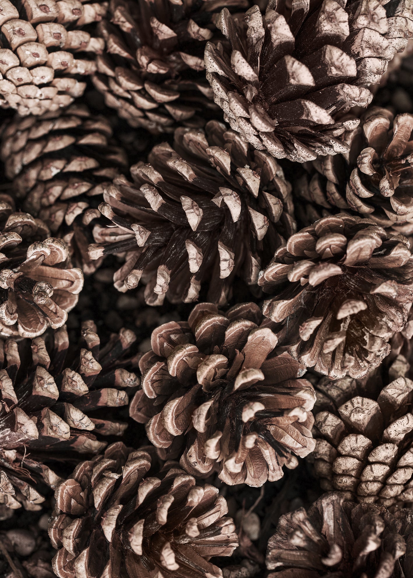 Canvastavla - Cones