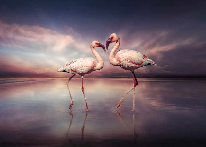 Canvastavla - Still Waters' Beauty