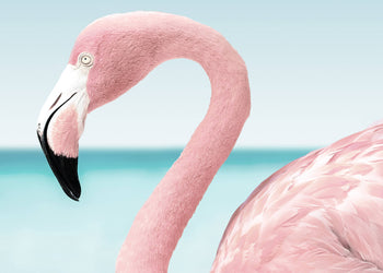 Canvastavla - Pink flamingo