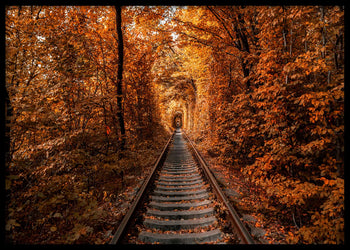 Poster - Tunnel of Autumn