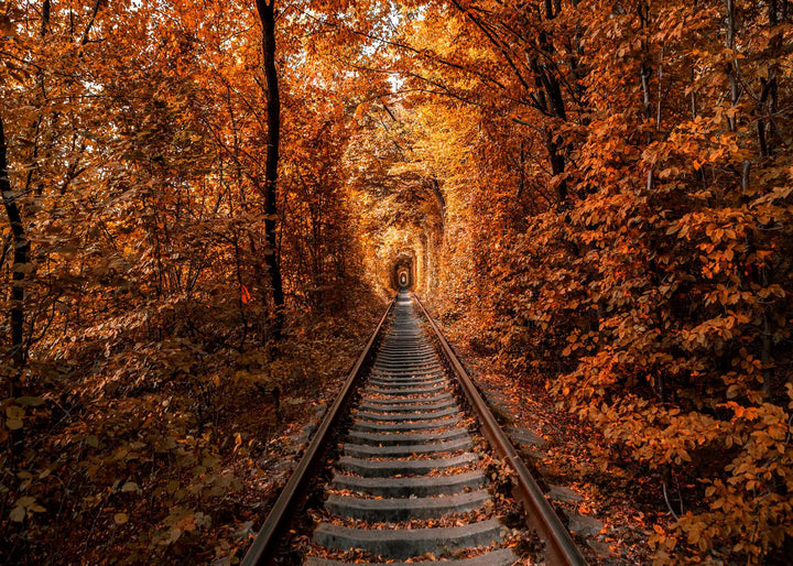 Canvastavla - Tunnel of Autumn