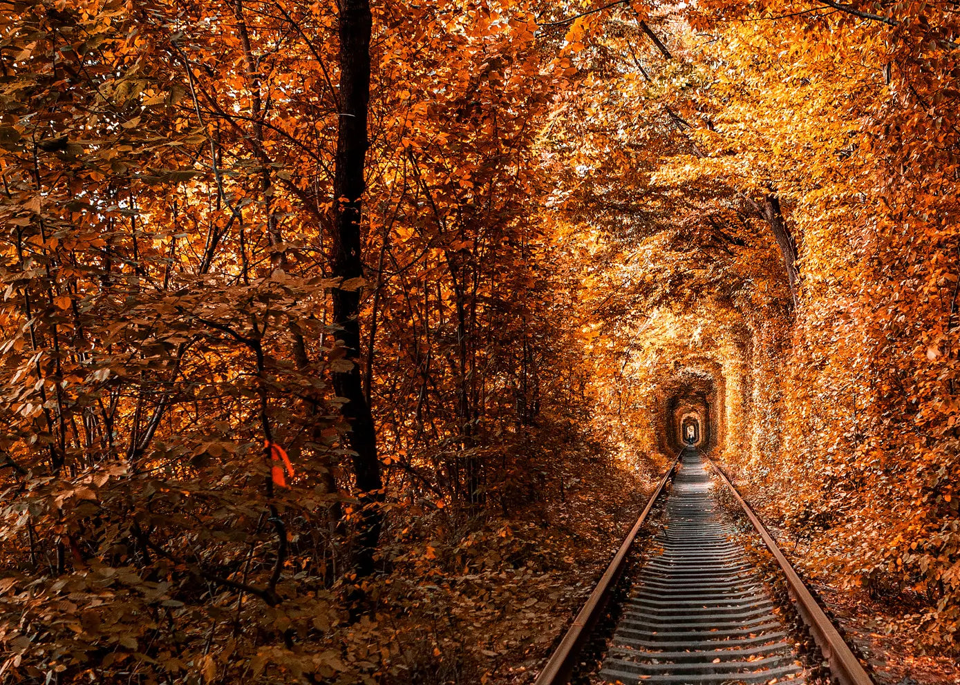 Canvastavla - Tunnel of Autumn