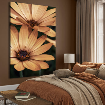 Canvastavla - Marguerite Blossoms