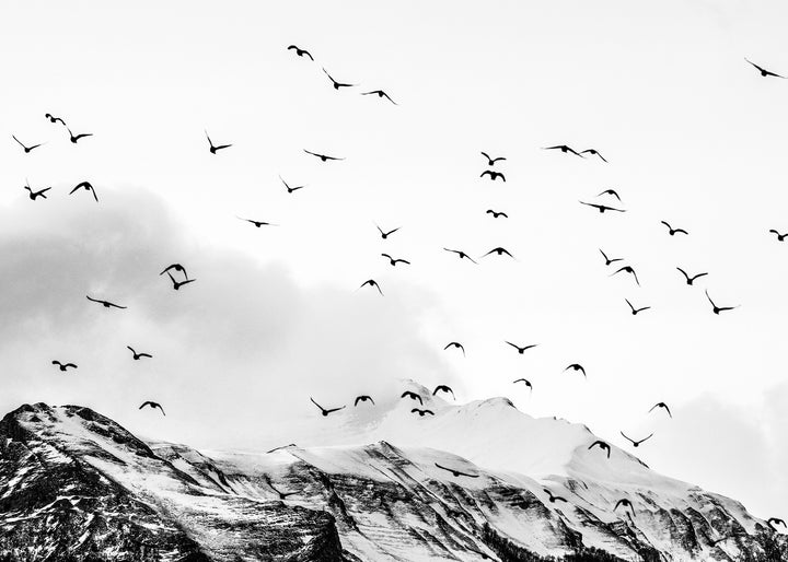 Canvastavla - Mountains & Birds