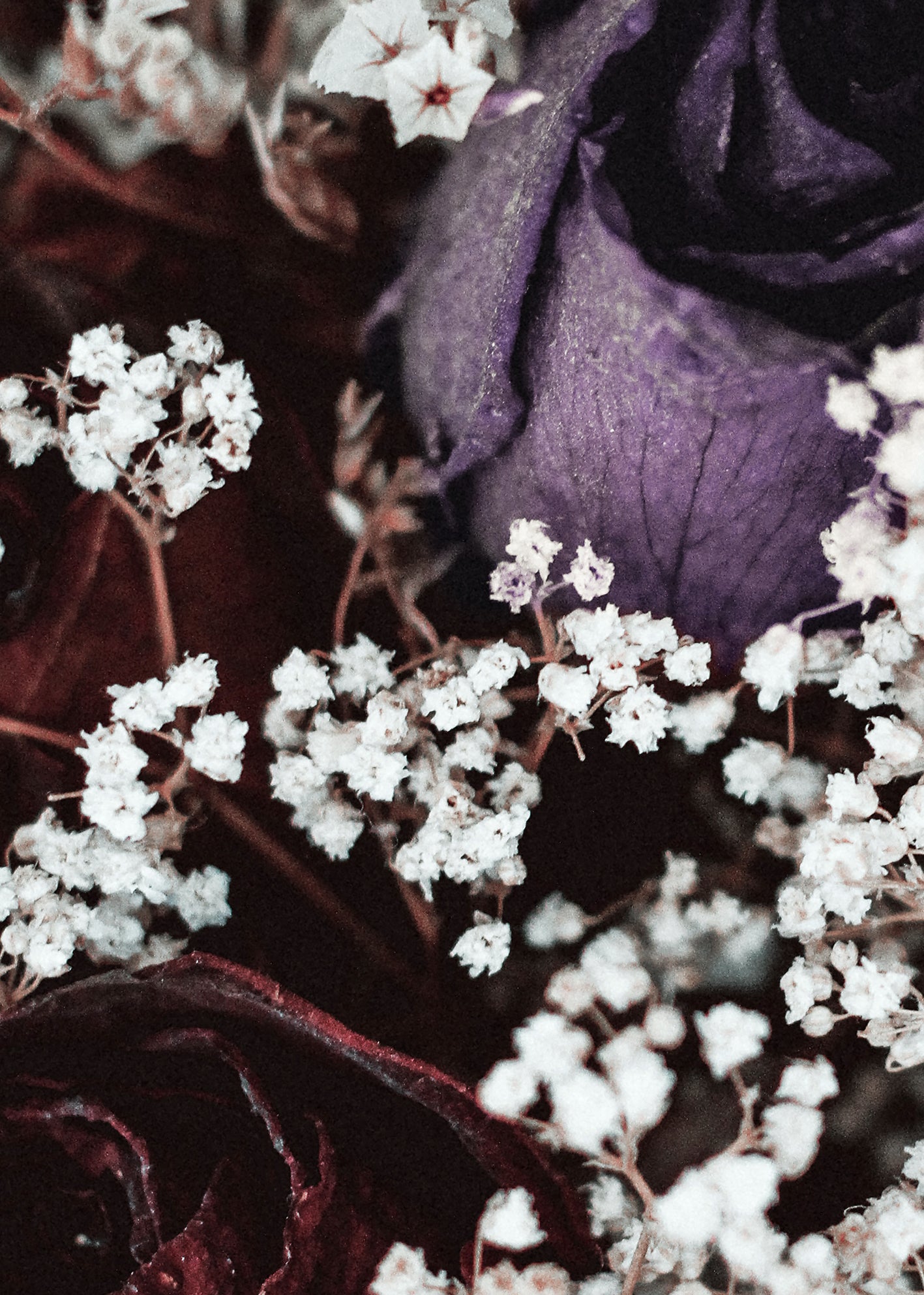 Canvastavla  - Posy