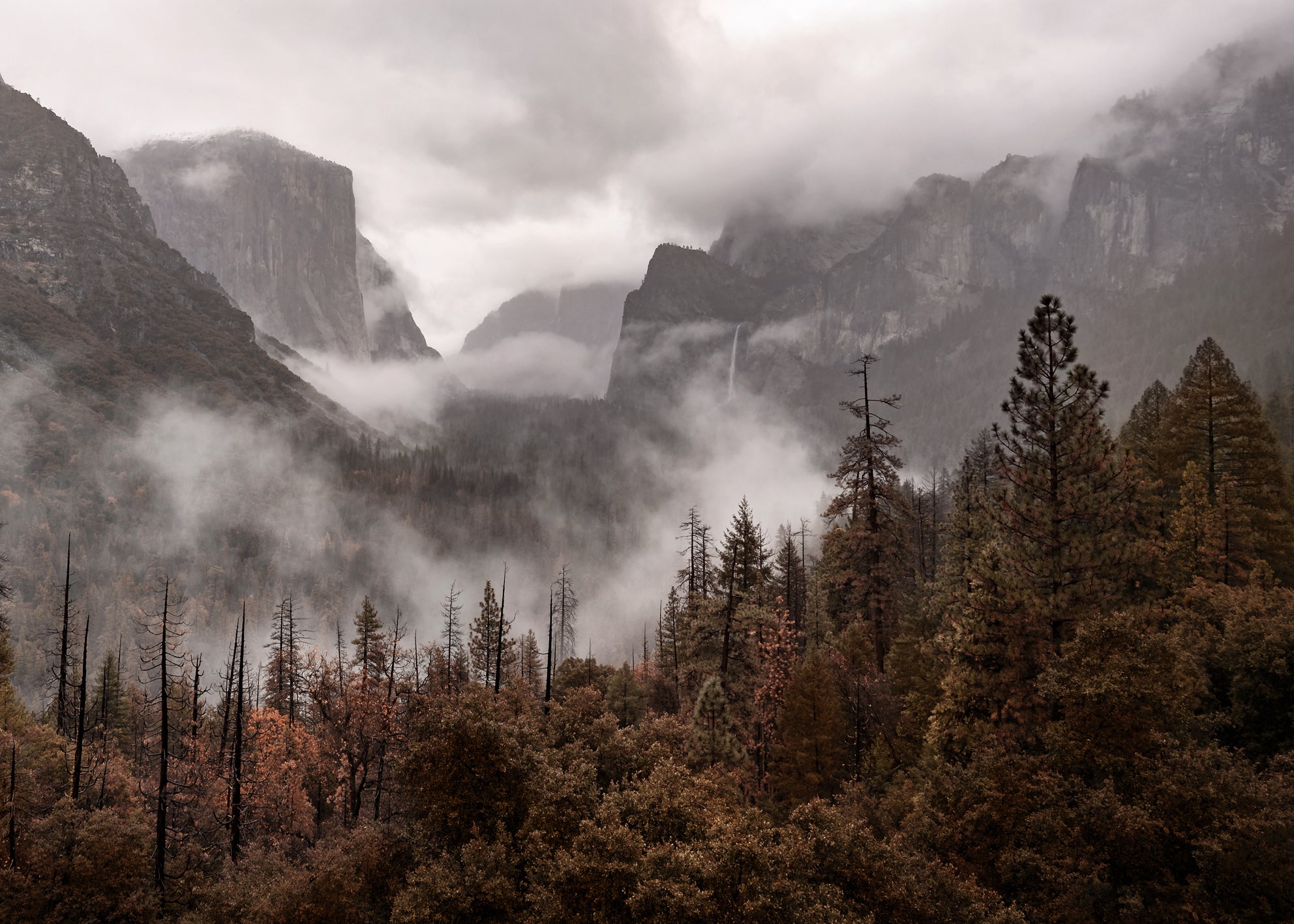 Canvastavla - Yosemite