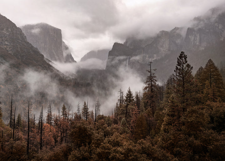 Canvastavla - Yosemite