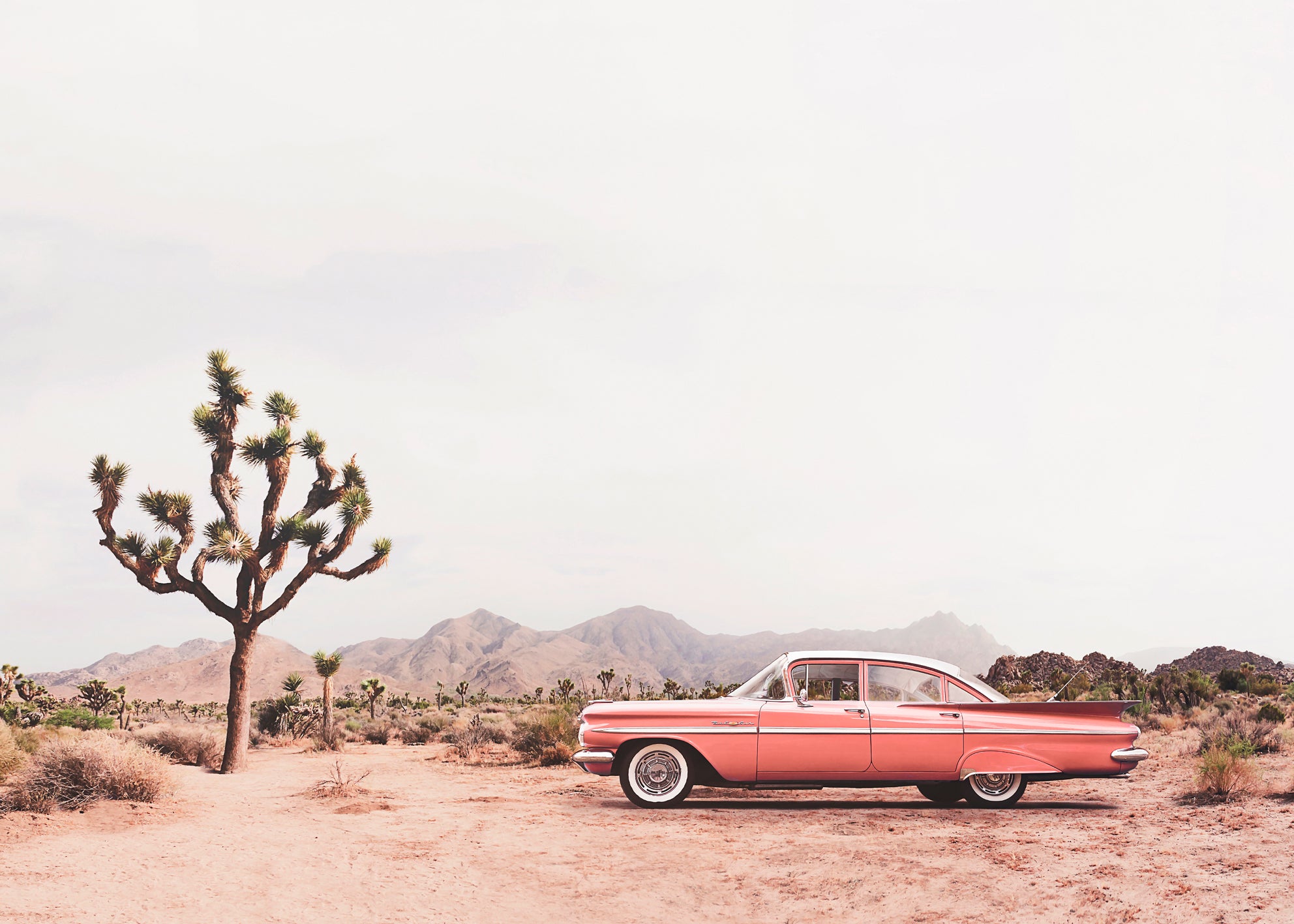 Canvastavla - In the desert