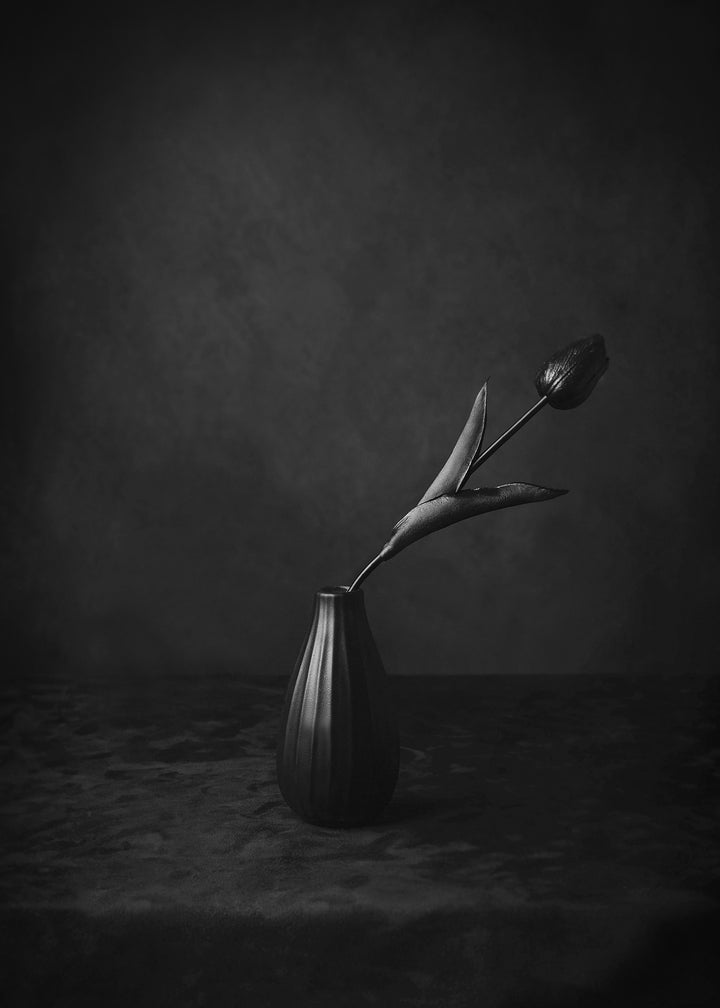 Canvastavla - Black Tulip