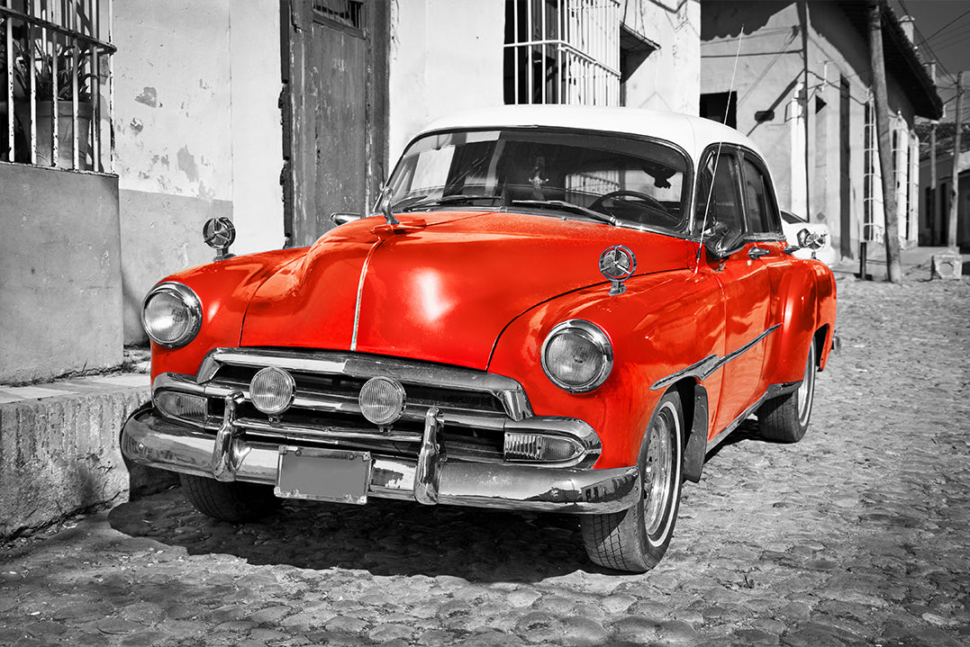 Canvastavla - Red beauty