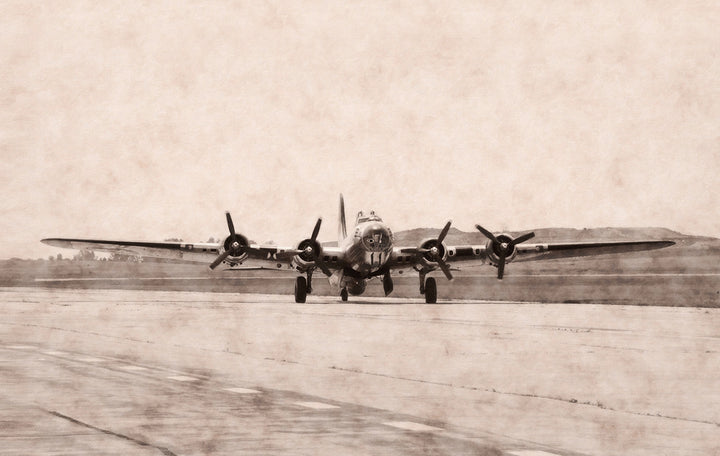 Canvastavla - The Flight home
