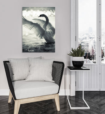 Canvastavla - Swan Lake
