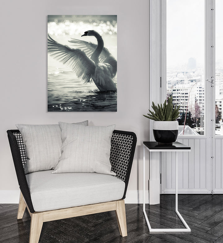 Canvastavla - Swan Lake