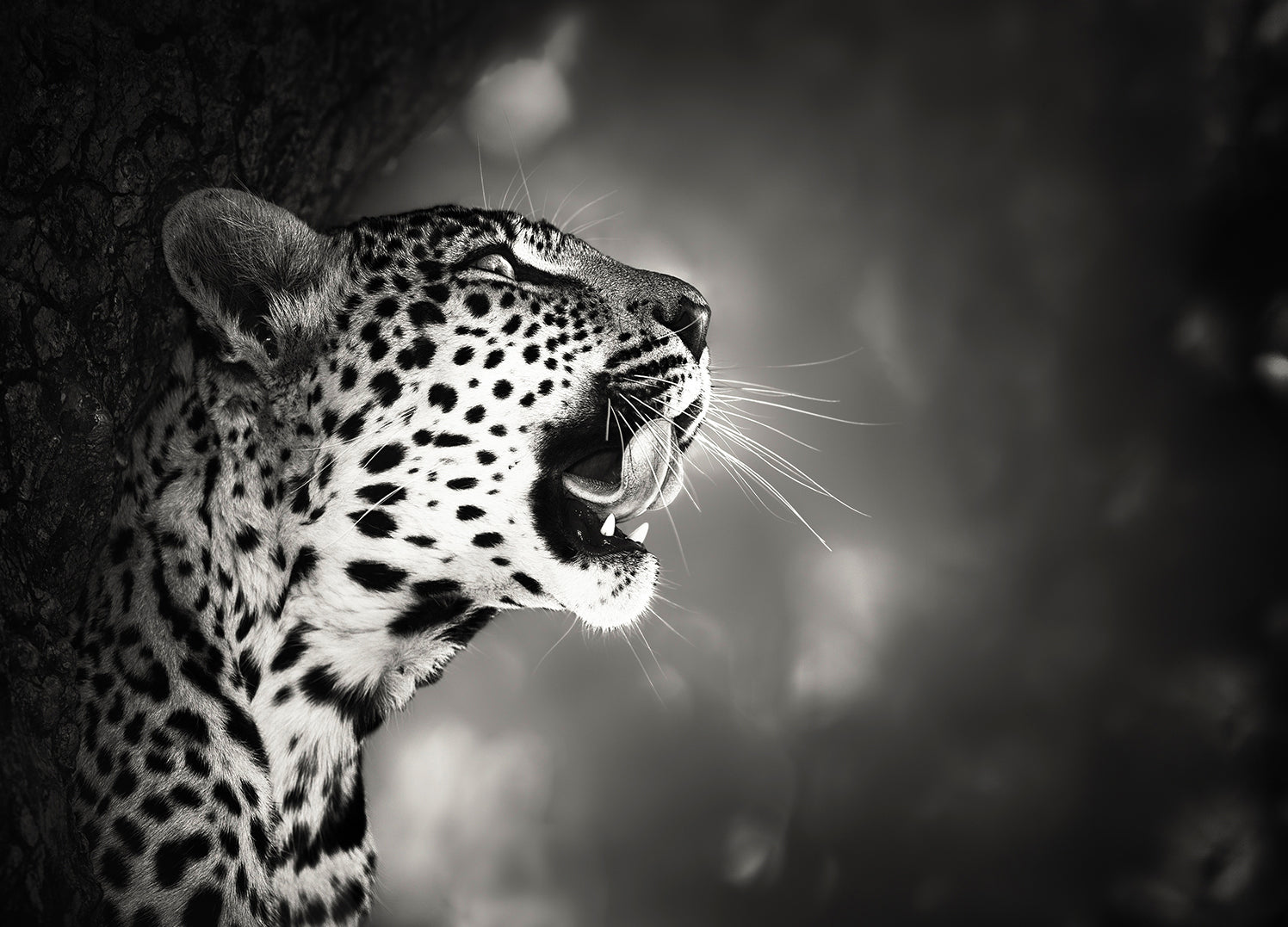 Canvastavla - Hunting