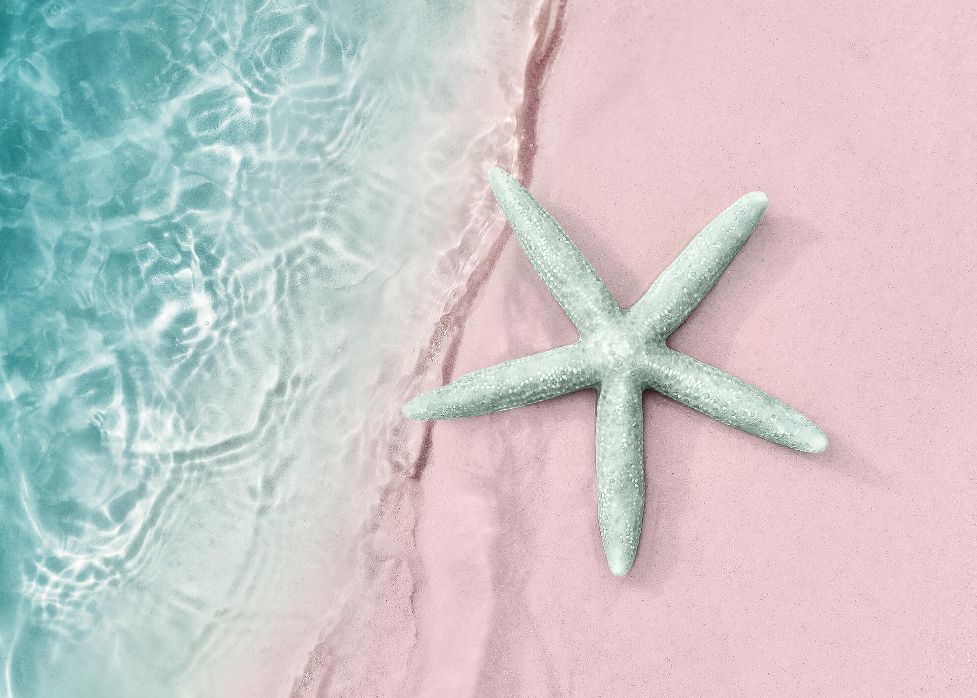 Canvastavla - Turquoise starfish