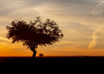 Canvastavla - African landscape