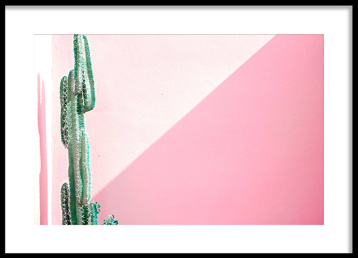 Poster - Contrasts