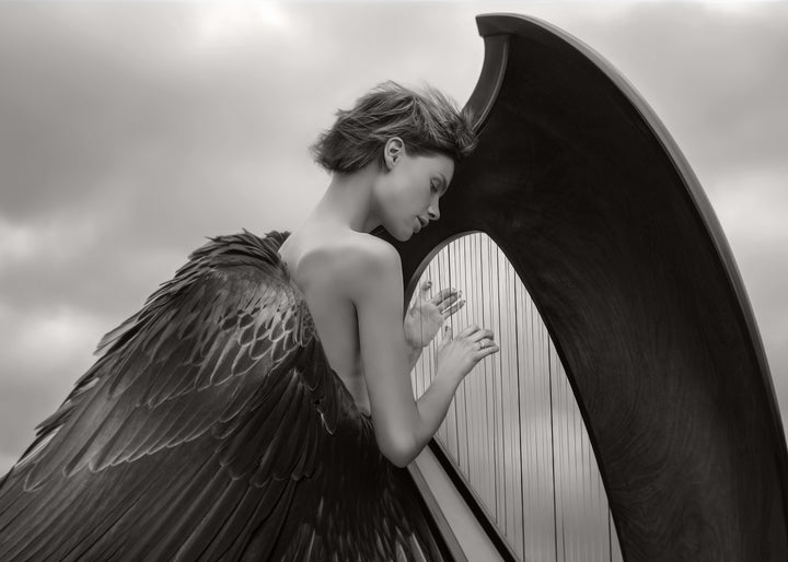 Canvastavla - Wings of Melody