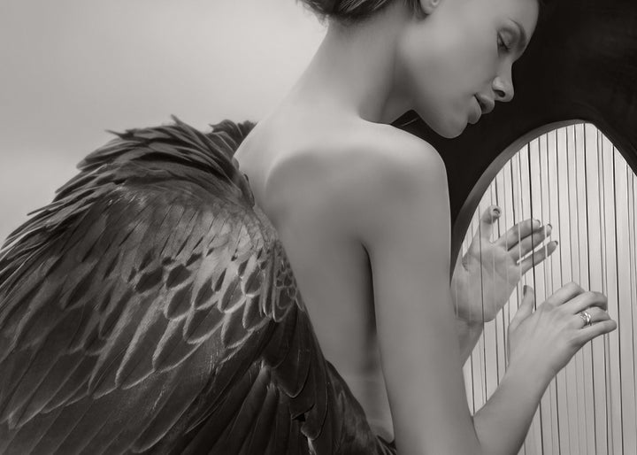 Canvastavla - Wings of Melody