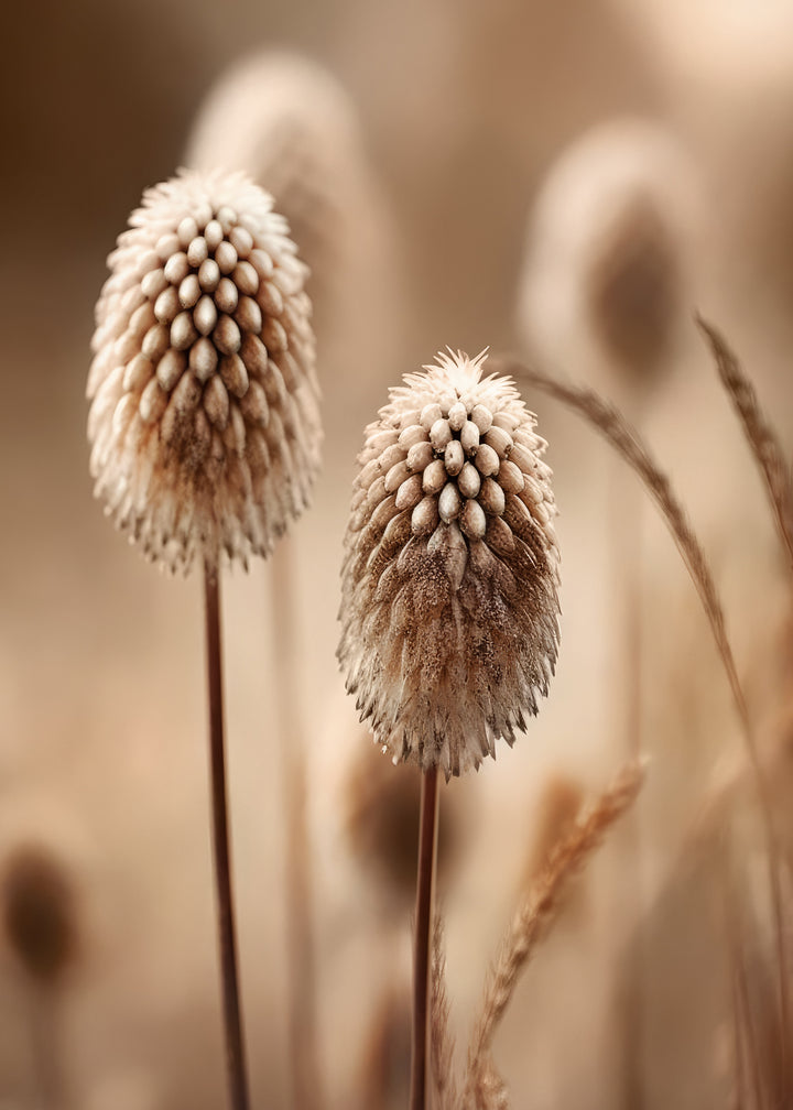 Canvastavla - Beige Botanics