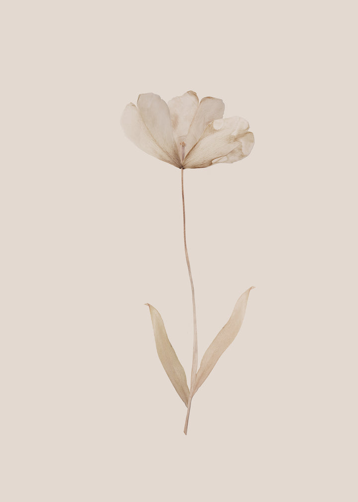 Canvastavla - Flower in Fall