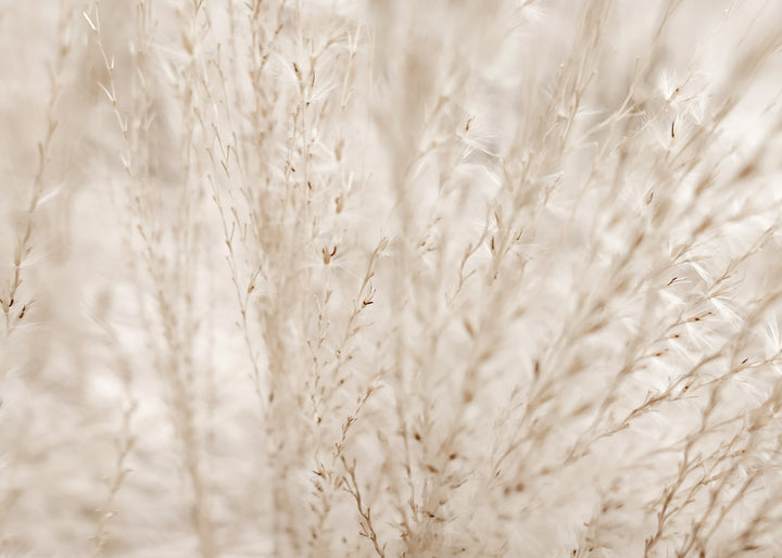 Canvastavla - Autumn Fields