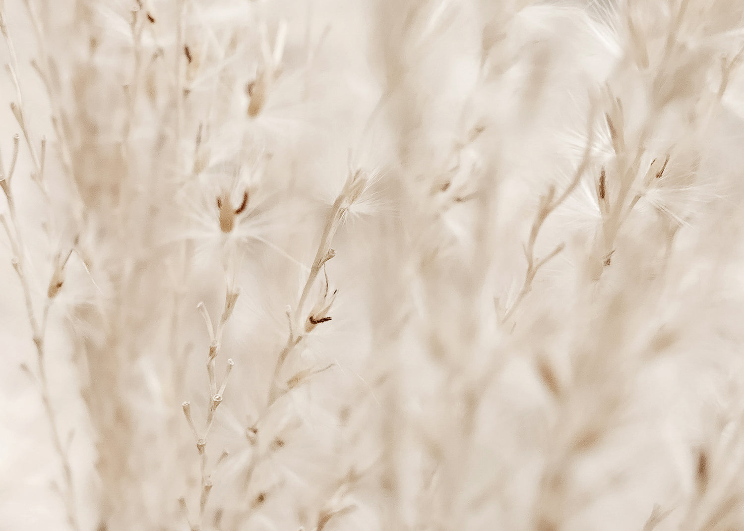 Canvastavla - Autumn Fields