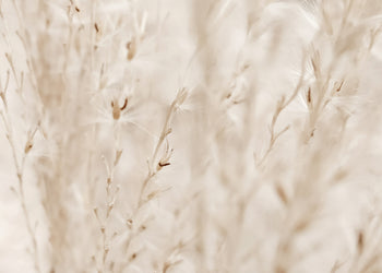 Canvastavla - Autumn Fields