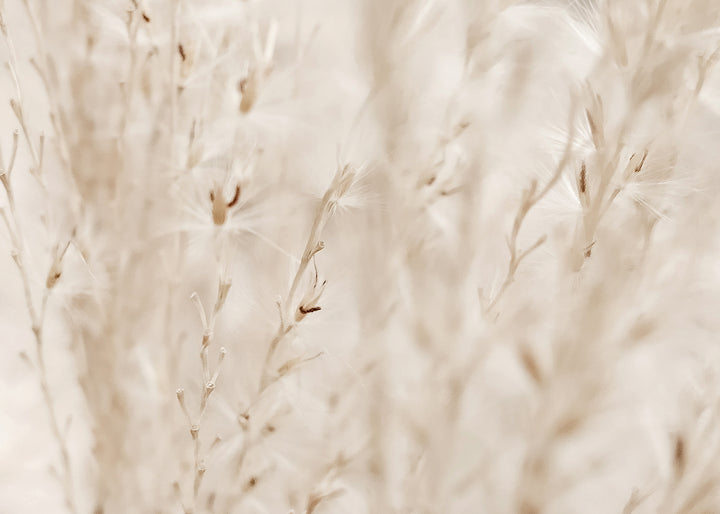 Canvastavla - Autumn Fields