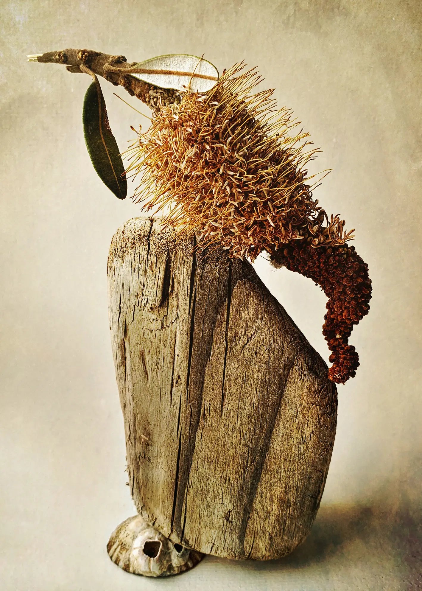 Canvastavla - Elements of Nature