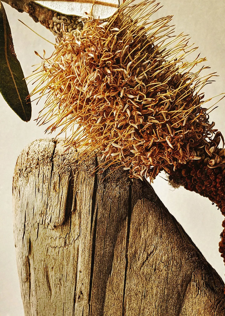 Canvastavla - Elements of Nature