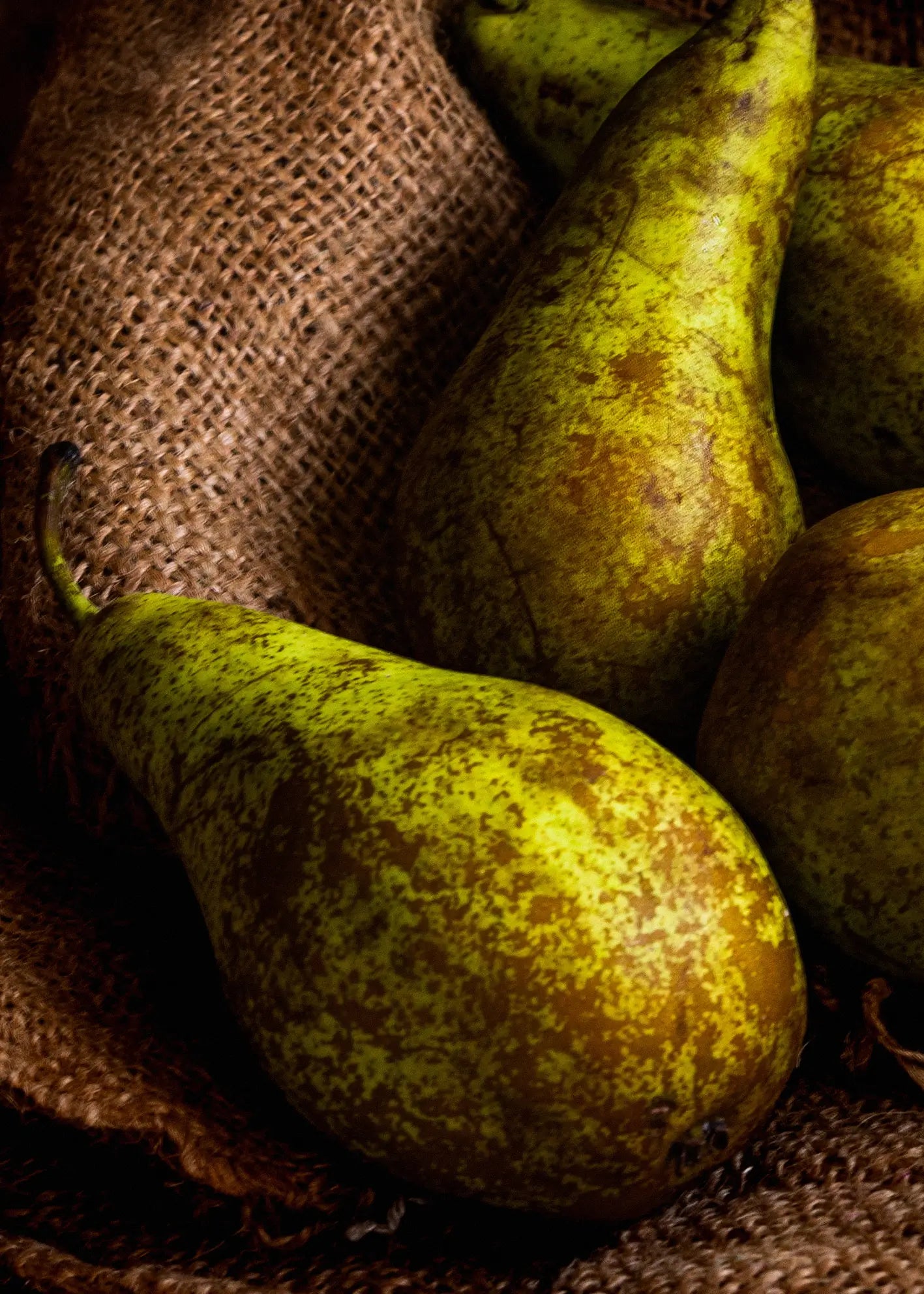 Canvastavla - Pear Delight