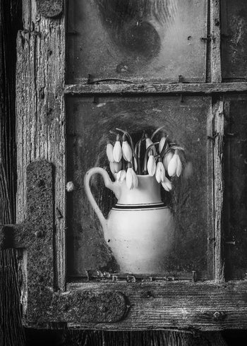 Canvastavla - The Lonely Vase