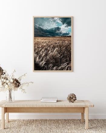 Poster - Field