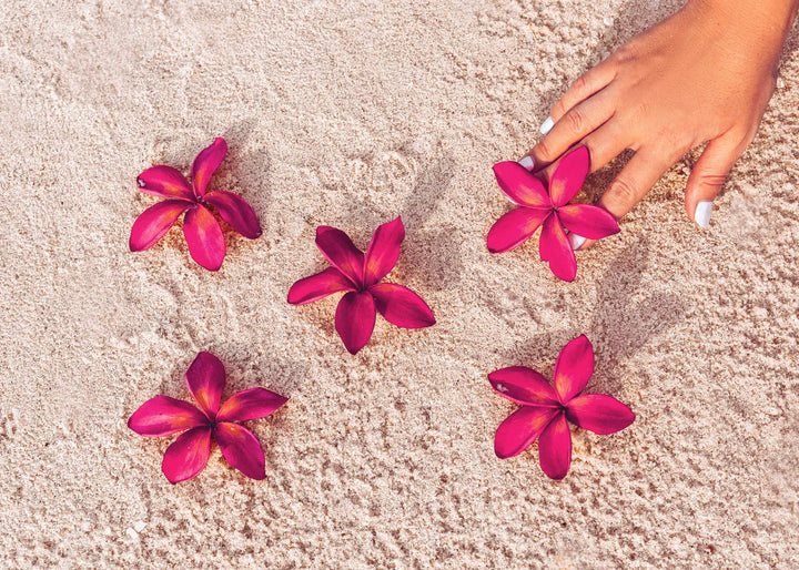 Canvastaulu - Red Flowers on Sand