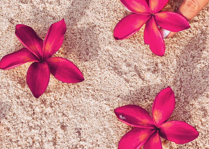 Canvastaulu - Red Flowers on Sand