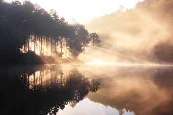 Canvastavla - Nature as a mirror