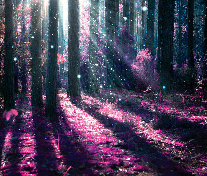 Canvastavla - The Enchanted Forest